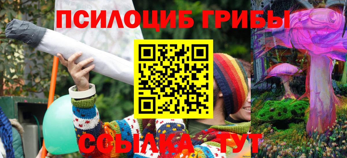 Псилоцибиновые грибы мухоморы Топки