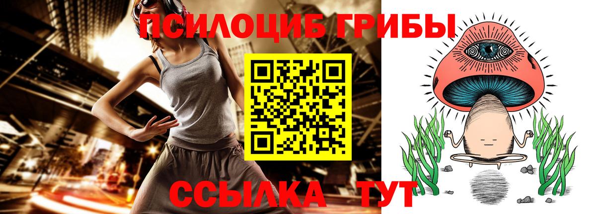 Топки  Псилоцибиновые грибы Psilocybine cubensis  Вход с VPN 